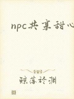 npc共享甜心