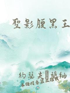 圣影腹黑王子帮