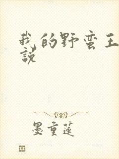 我的野蛮王妃小说