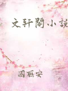 文轩阁小说网