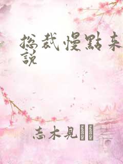 总裁慢点来 小说