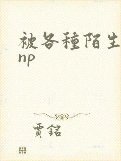 被各种陌生人 np