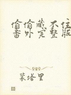 偷偷藏不住新婚番外完整版