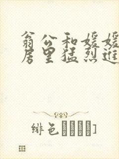 翁公和媛媛在厨房里猛烈进出