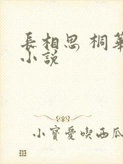 长相思 桐华 小说