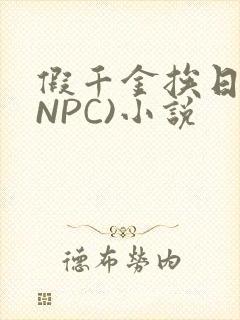 假千金挨日记(NPC)小说