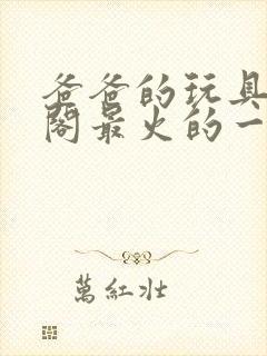 爸爸的玩具笔趣阁最火的一句