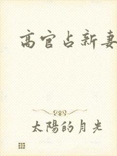 高官占新妻