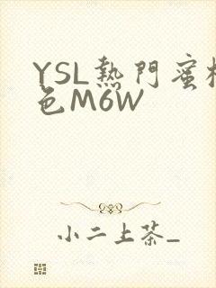 YSL热门蜜桃色M6W