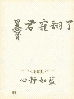 暴君宠翻了小娇宝