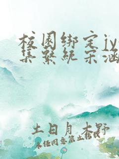 校园绑定jy收集系统宋涵