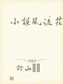 小说风流花少