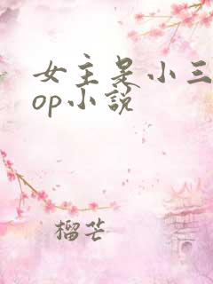 女主是小三的pop小说