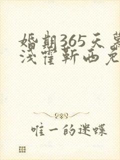 婚期365天慕浅霍靳西免费阅读