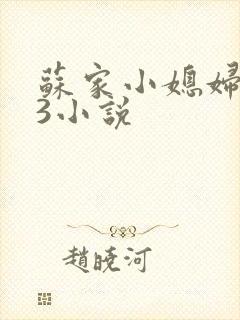 苏家小媳妇1V3小说