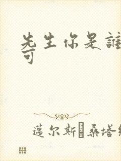 先生你是谁林亦可