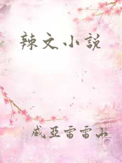辣文小说