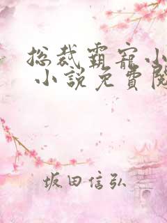 总裁霸宠小娇妻 小说免费阅读