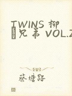 TWINS 柳澤兄弟 VOL.2