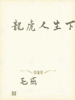 龙虎人生下载