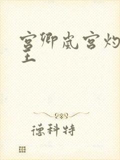 宫卿岚宫灼摄政王