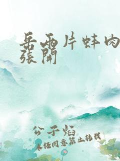 岳两片蚌肉缓缓张开