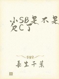 小SB是不是又欠C了
