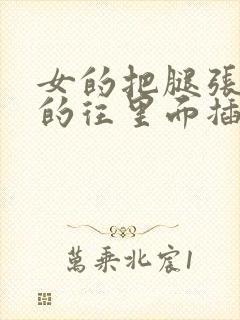 女的把腿张开男的往里面插