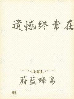 遗憾终常在小说