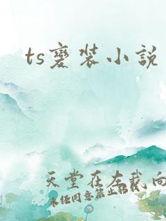 ts变装小说