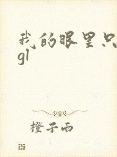 我的眼里只有你gl