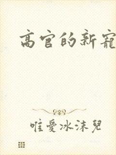 高官的新宠