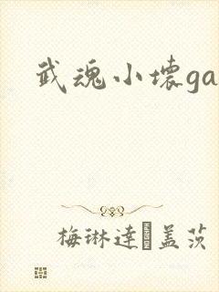 武魂小坏ga