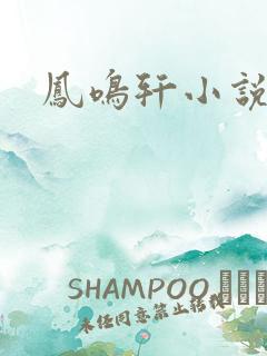 凤鸣轩小说