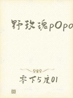 野玫瑰pOpo