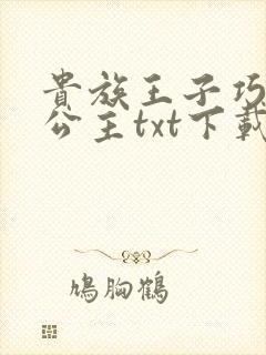 贵族王子巧遇穷公主txt下载