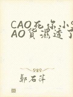 CAO死你小SAO货湿透了学长