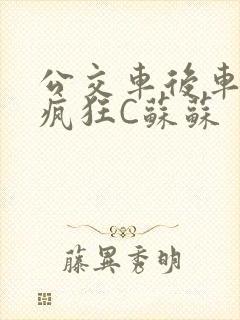 公交车后车座的疯狂C苏苏