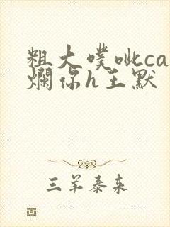 粗大噗呲cao烂你h王默