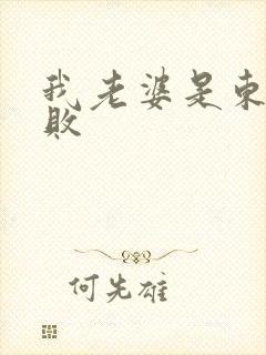 我老婆是东方不败