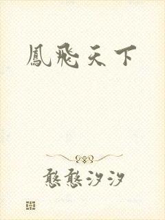 凤飞天下