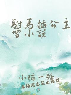 驸马插公主恋战雪小说