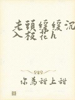 老头缓缓沉腰进入校花h