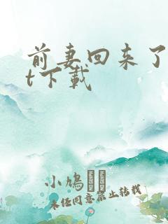 前妻回来了txt下载