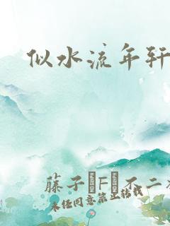 似水流年轩辕悬