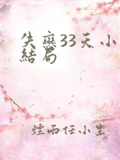 失恋33天小说结局