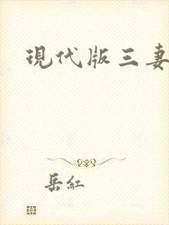 现代版三妻四妾