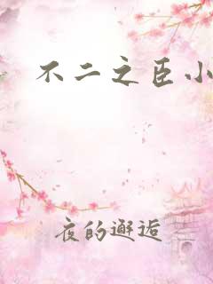 不二之臣小说