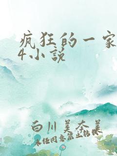 疯狂的一家ps4小说