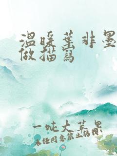 温暖叶非墨车内做描写